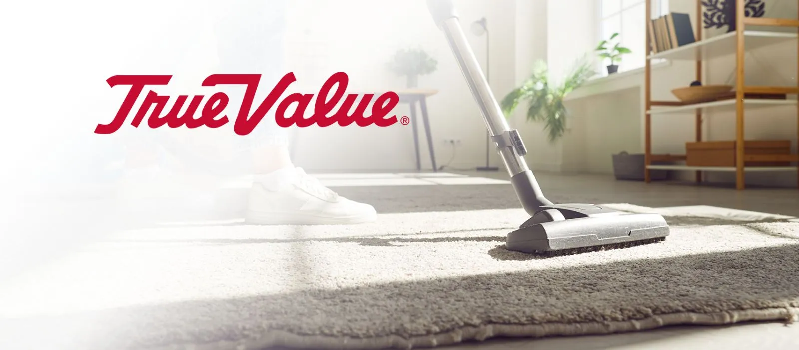 TrueValue Main Banner